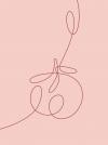Mia Via supporting illustration of a tomato in a continuous line drawing style