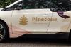 Pinecone childcare car design 06