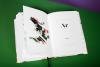 Symrise Perfurmers Compendium index book and label cover photographed open faced, showing an illustration, in a studio environment with a green background