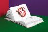 Symrise Perfurmers Compendium index book and label cover photographed open faced, showing an illustration, in a studio environment with colorful walls of red, green and purple