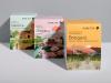 Transatlantika pure tea packaging illustrations 01